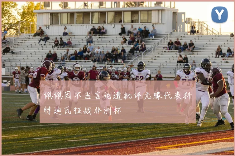 佩佩因不当言论遭批评无缘代表科特迪瓦征战非洲杯