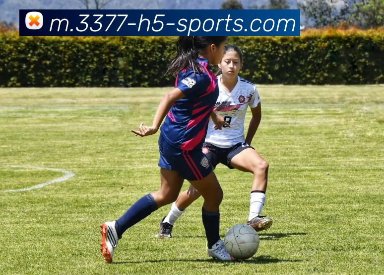 3377体育服务体系